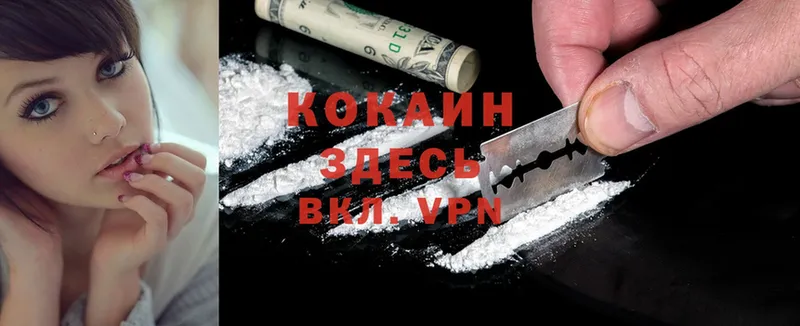 купить наркоту  blacksprut как зайти  Cocaine VHQ  Закаменск 